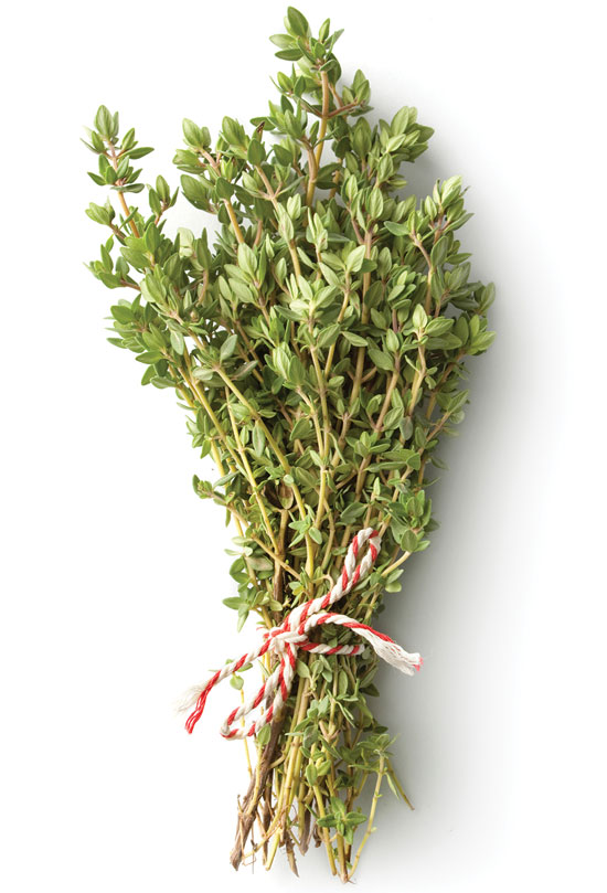 Thyme is easy to grow indoors or outside.